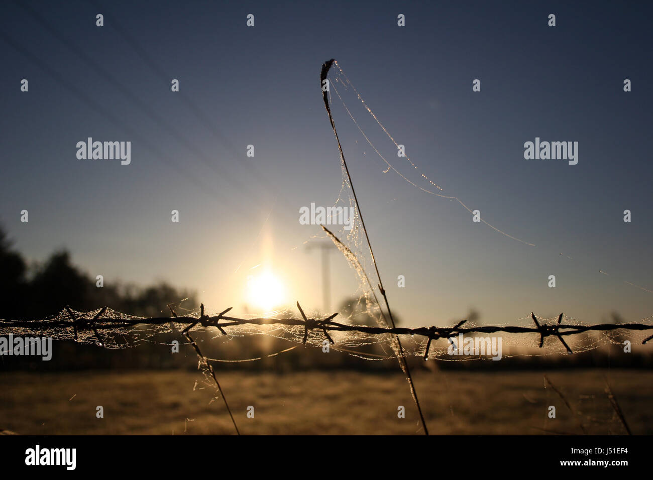 cold field sunrise weave fence dismal acre end barbed wire tomorrow tendency Stock Photo