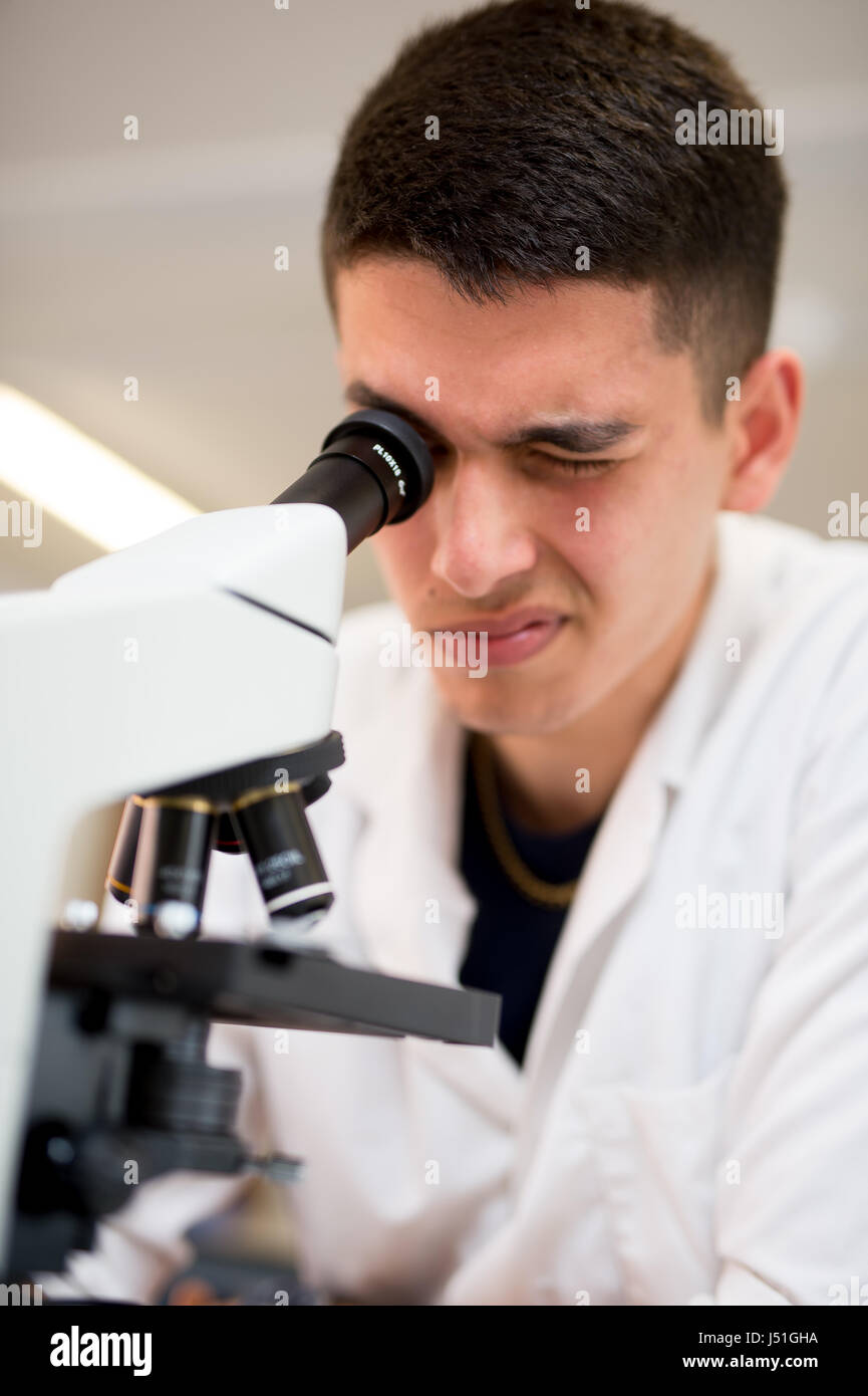 Scientist looking through a microscope Stock Photo Alamy