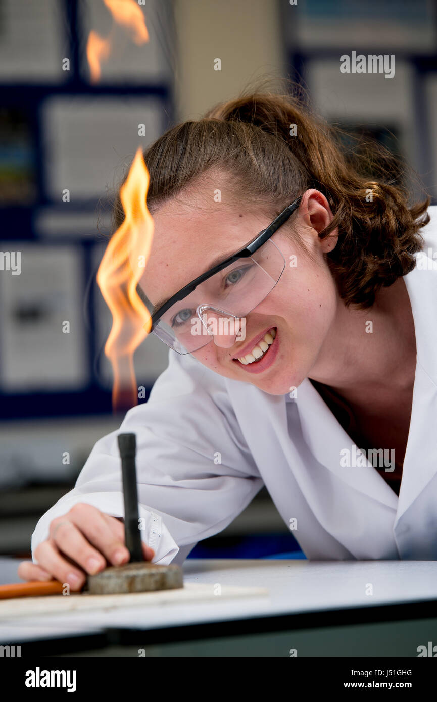 A student adjusts a bunsen burner whilst studying at college Stock Photo