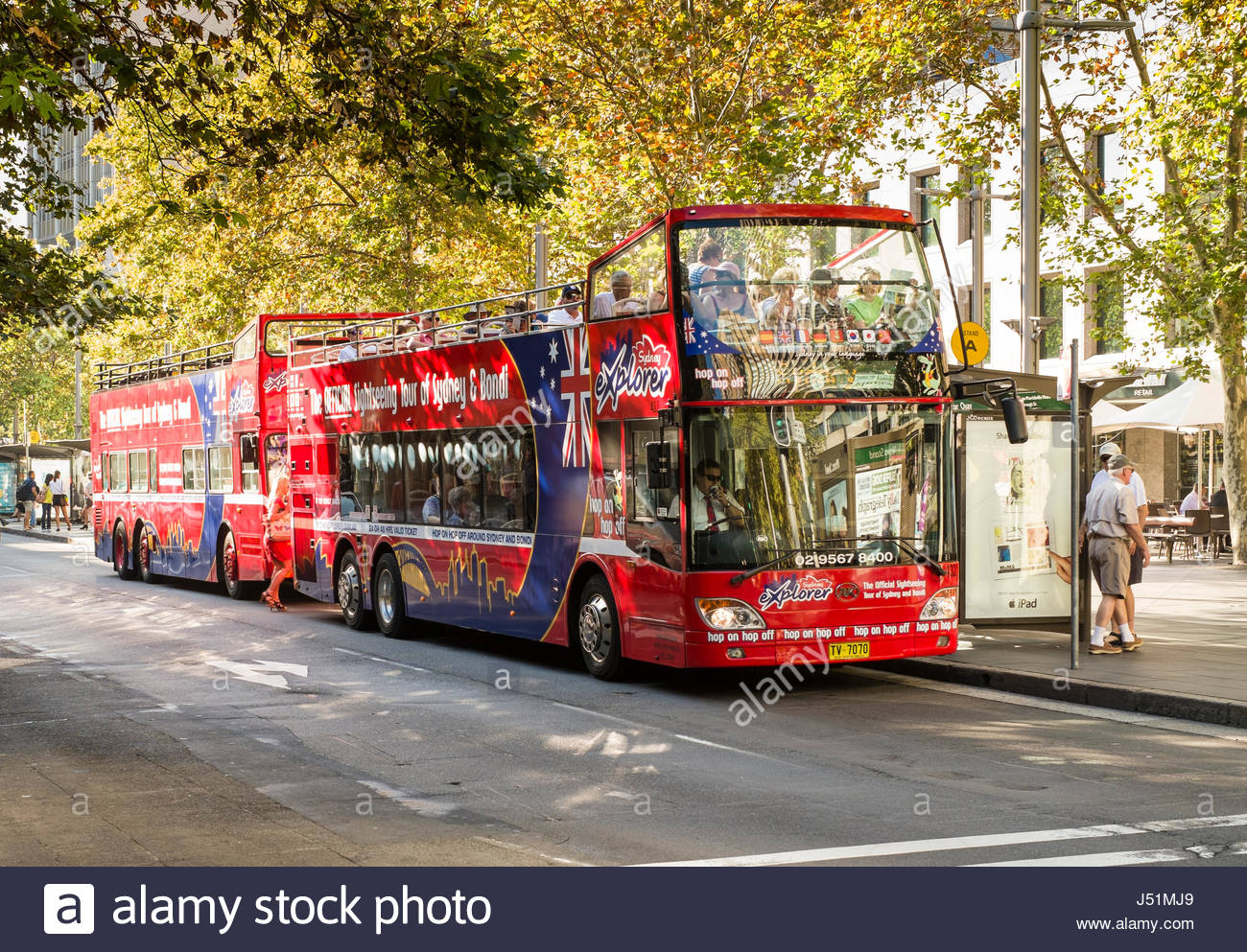 tourist bus sydney