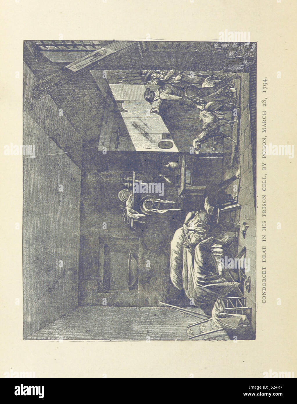 This work provides an overview of the French Revolution, exploring the ...