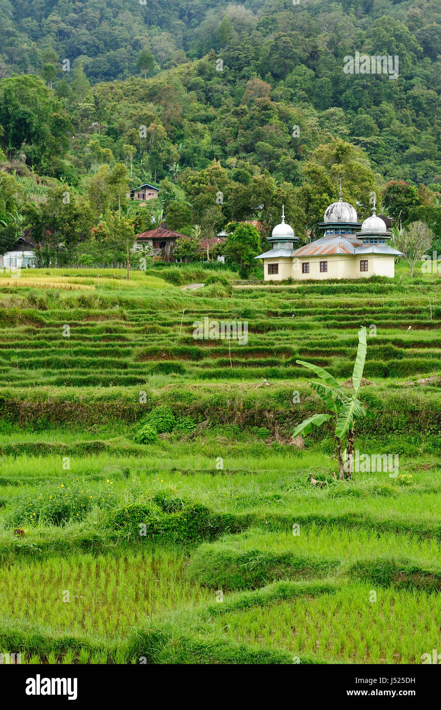 Indonesia countryside on the West Sumatra island near Bukittinggi city resort Stock Photo