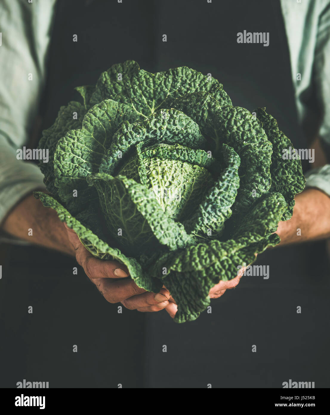 Wearing black apron hi-res stock photography and images - Alamy