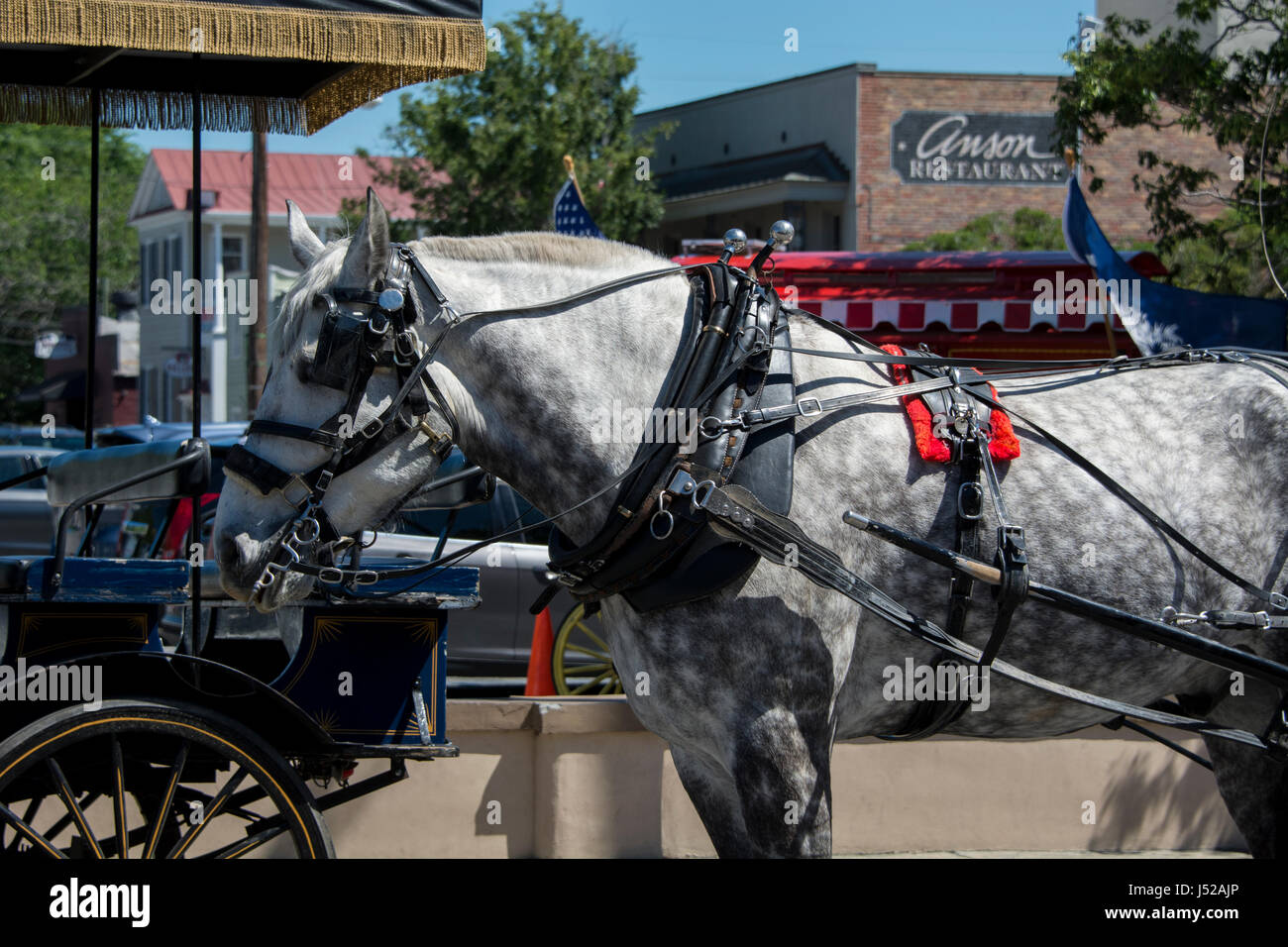 South Carolina, Charleston. Typical historic downtown sightseeing