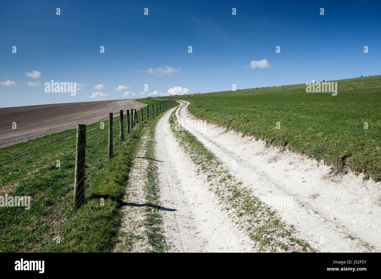 Beautiful sunny day on South Downs Way in Sussex Stock Photo
