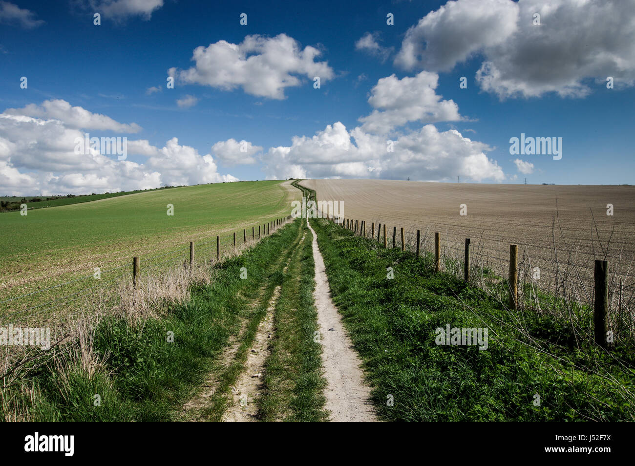 Beautiful sunny day on South Downs Way in Sussex Stock Photo