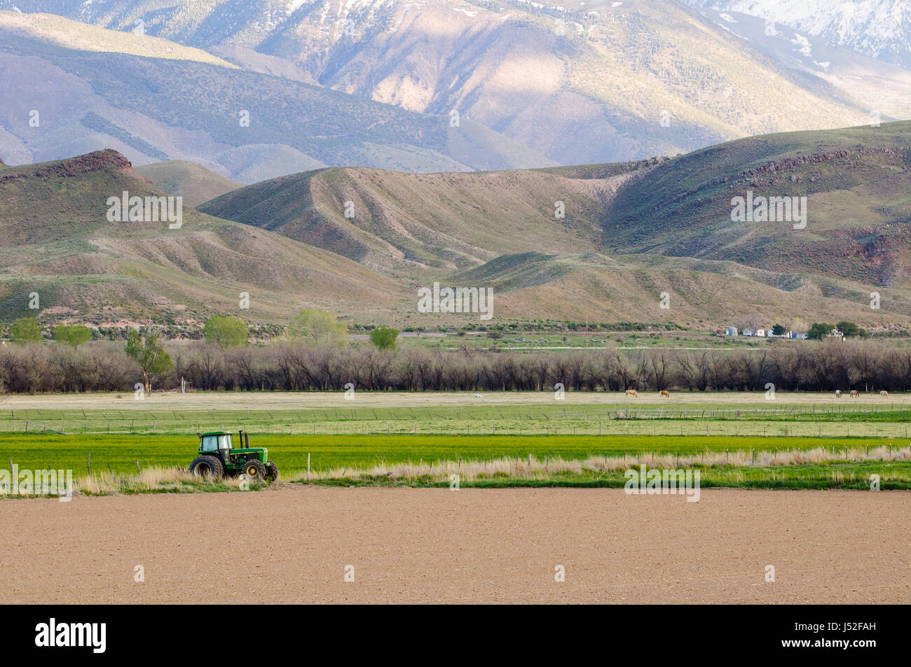 Tractor parked in a farmer's field in Joseph, Utah, USA. Stock Photo
