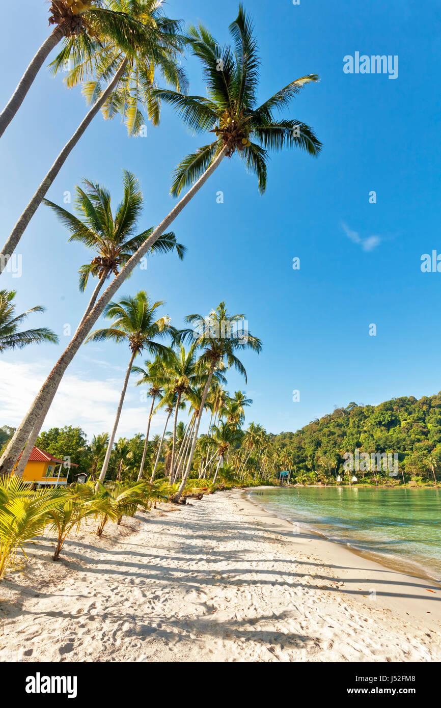 Beautiful tropical sea and beach. Nature background Stock Photo - Alamy