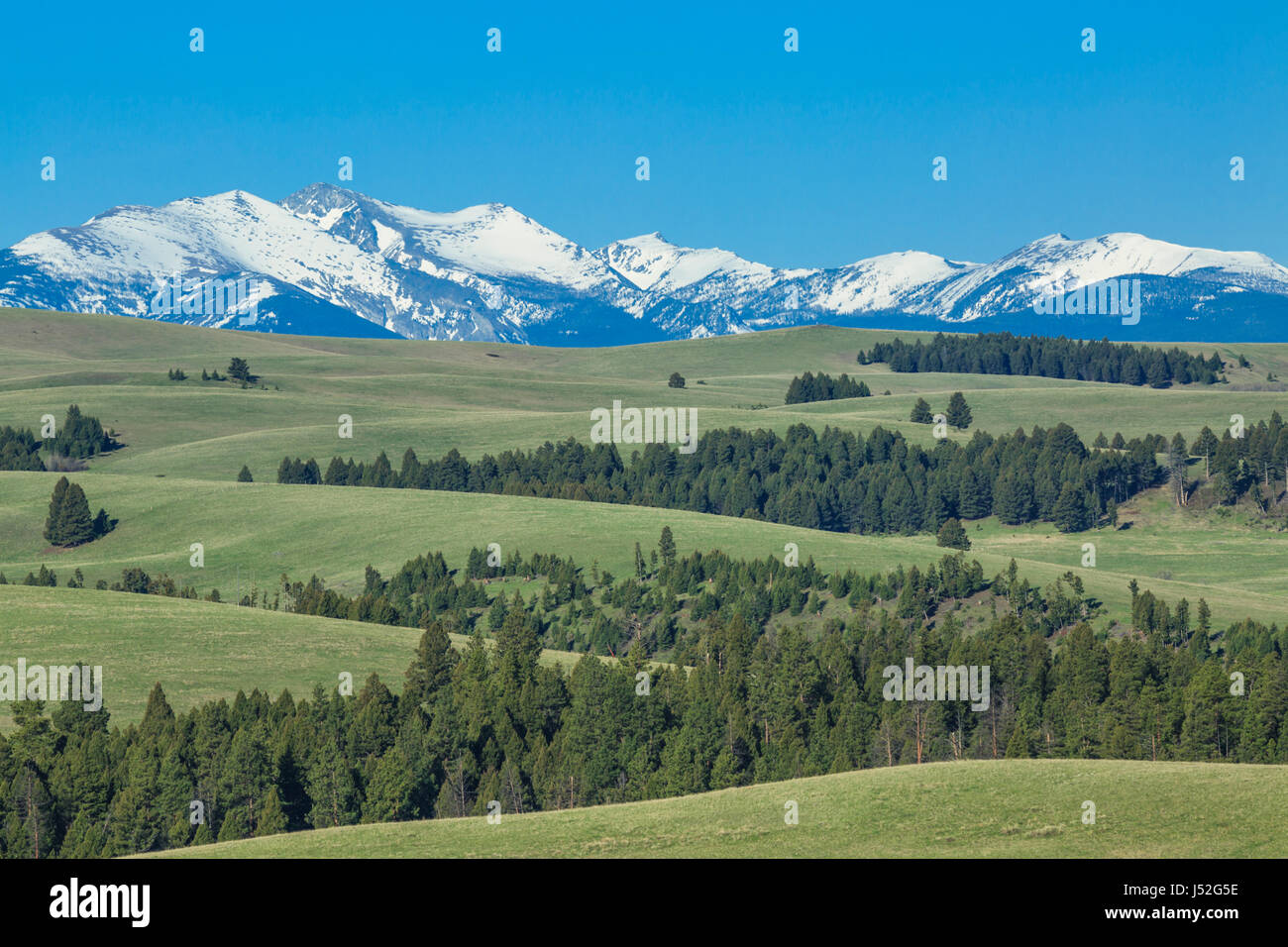 peaks of the flint creek range above meadows of upper spotted dog creek
