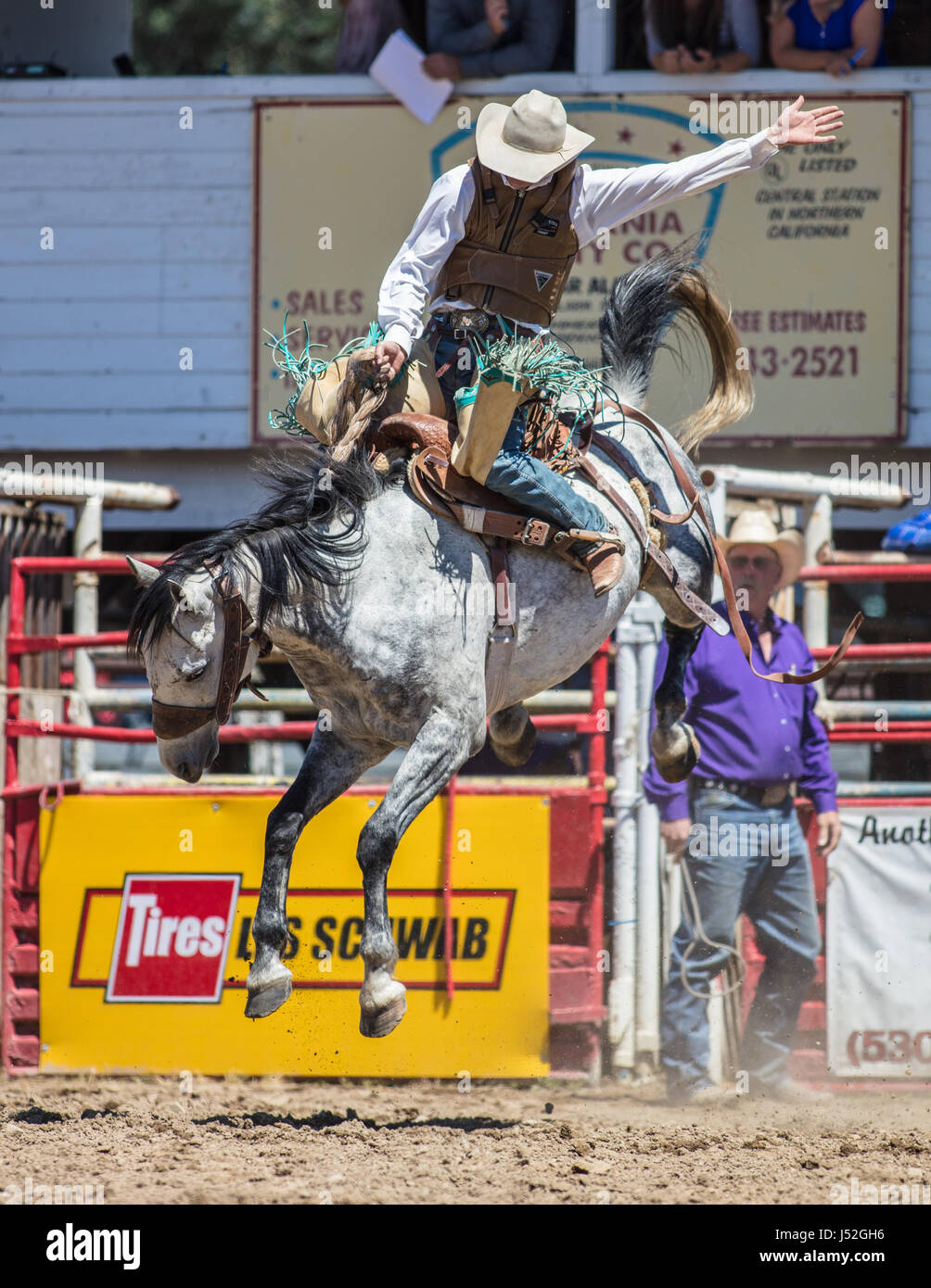 Saddleback bronc action at the Cottonwood Rodeo in California Stock