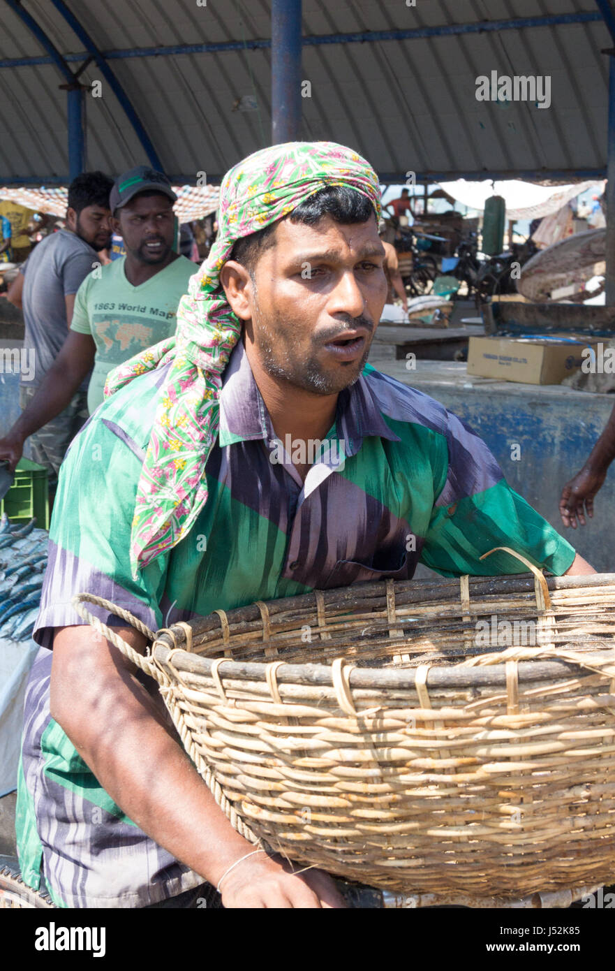 Man carrying basket on Negombo fish market, Sri Lanka Stock Photo Alamy