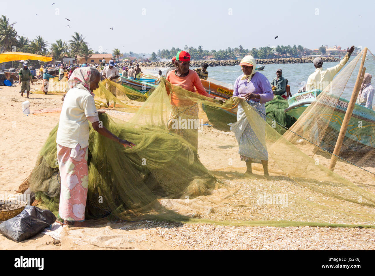 Sri lanka fishing nets hires stock photography and images Alamy