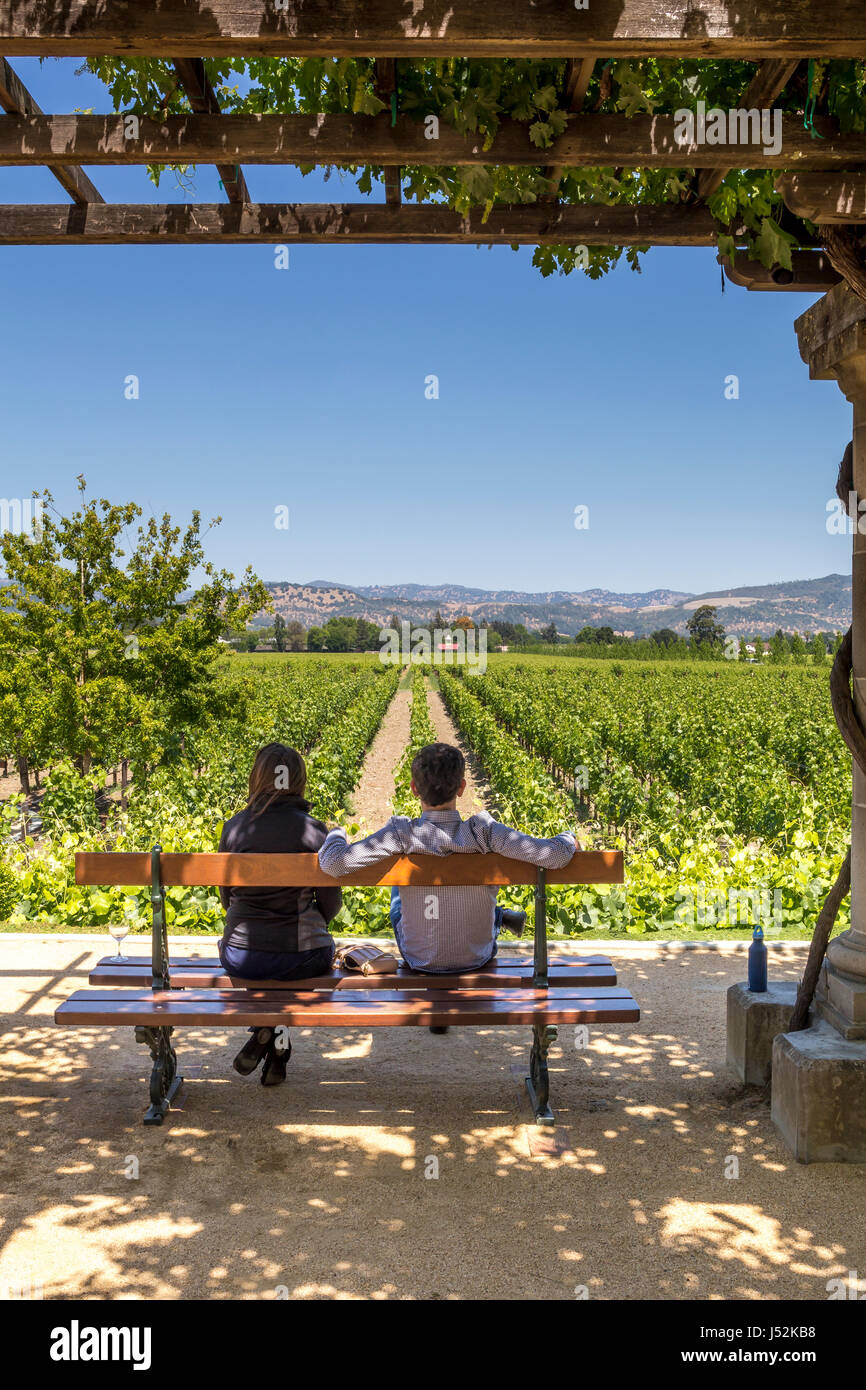 people, couple, tourists, grape vineyard, grape vineyards, vineyard, vineyards, winery, Inglenook, Rutherford, Napa Valley, Napa County, California Stock Photo