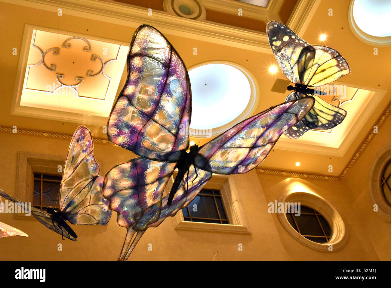 Butterfly in Las Vegas Stock Photo Alamy