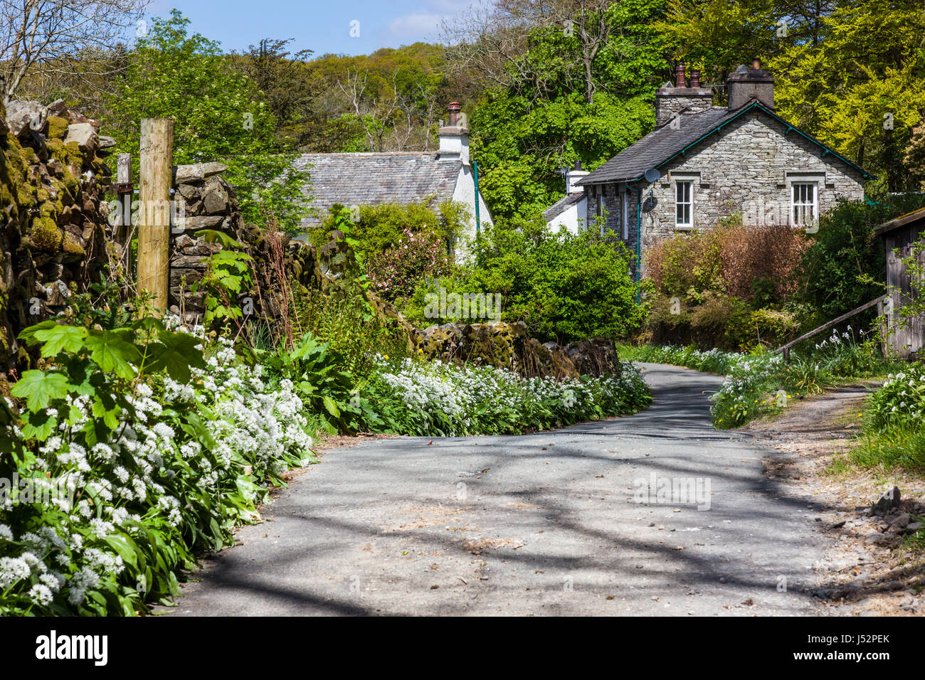 Village hawkshead lake district national hires stock photography and images Alamy