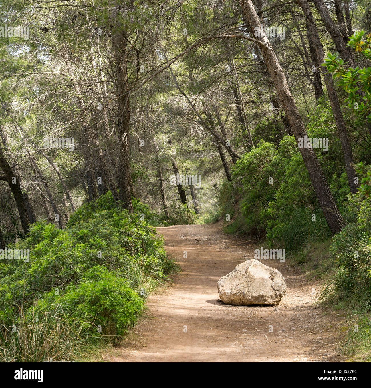 Road or trail blocked by big rock. Overcome an obstacle. Stock Photo