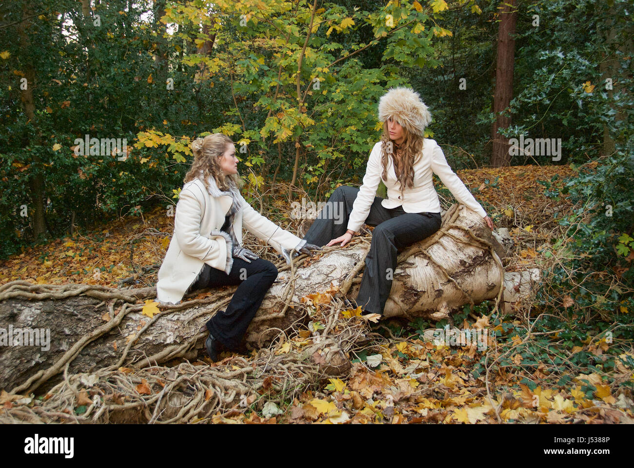 Two beautiful girls in a forest location - fashion Stock Photo - Alamy