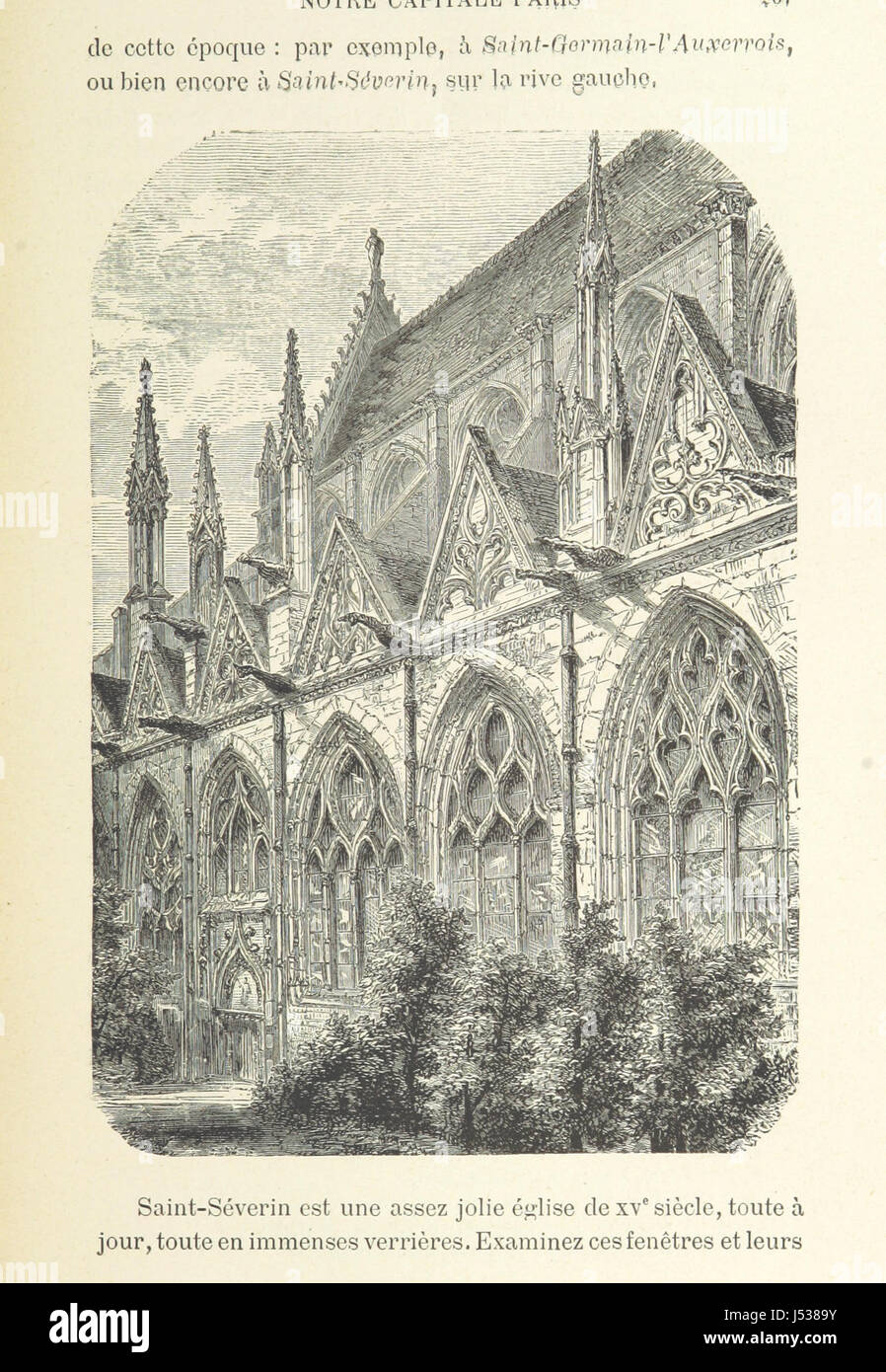 1903年　フランス～ＰＡＲＩＳ　裸婦、希少画集画、額装付 楽天市場】19世紀 フランス 絵画の通販