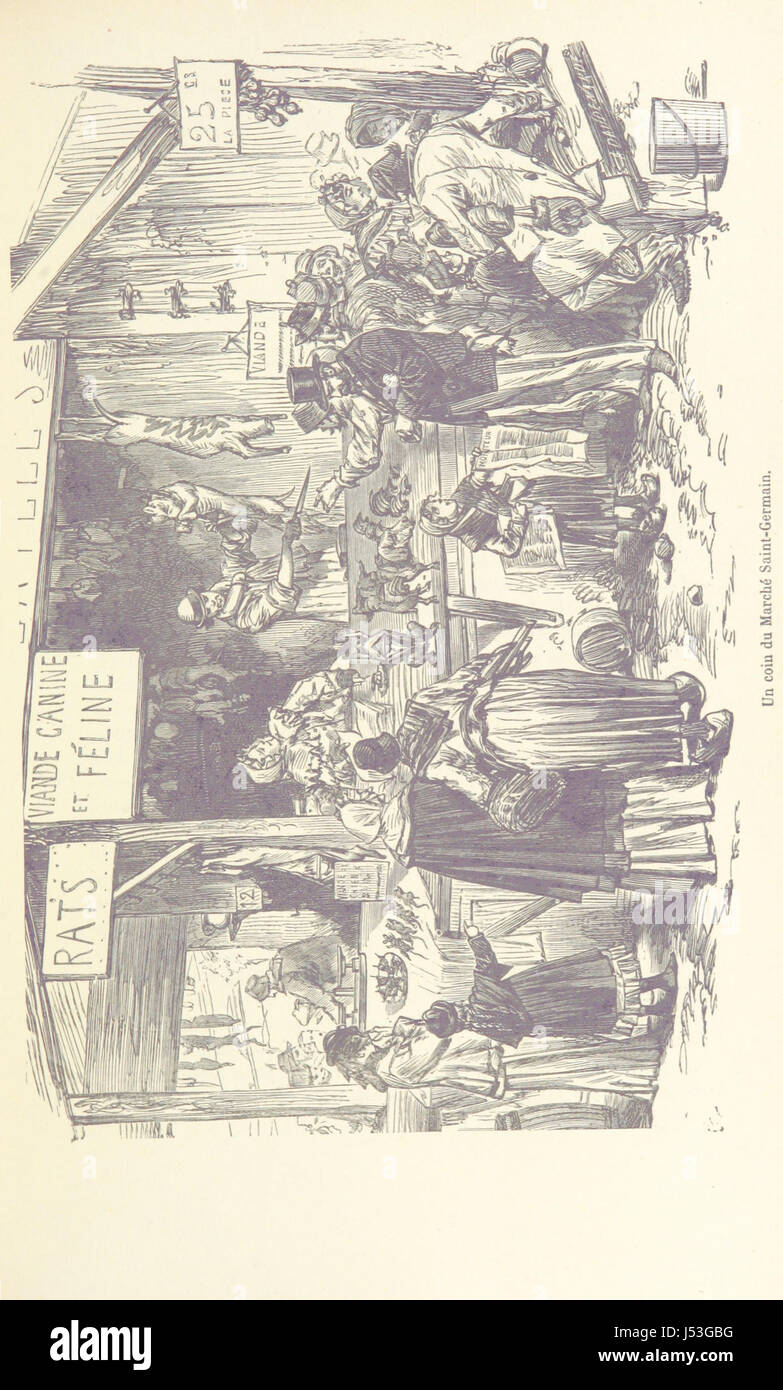 Histoire de la révolution de 187071 et des origines de la troisième