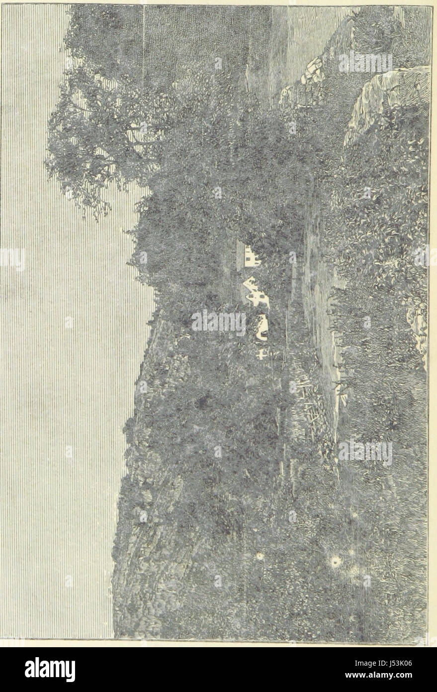 Handy guide hi-res stock photography and images - Alamy