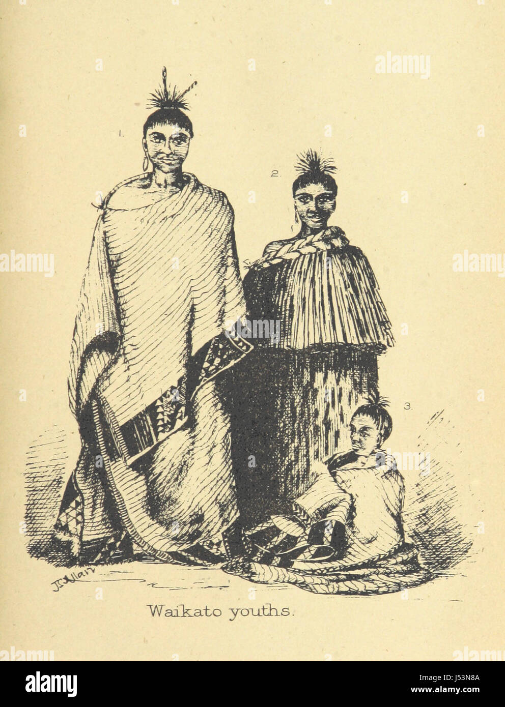 Illustrations prepared for White's Ancient History of the Maori Stock Photo
