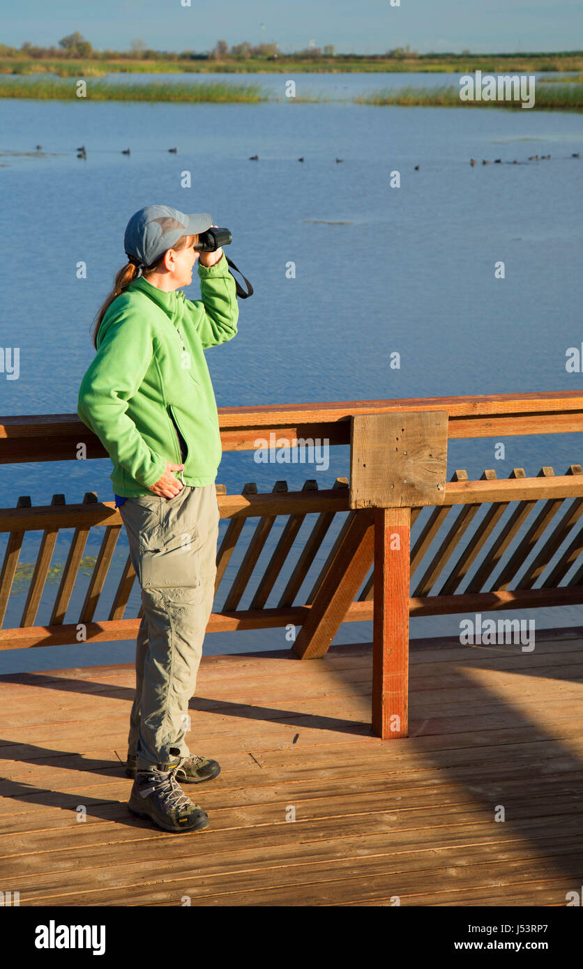 Birding on Boardwalk Trail, Cosumnes River Preserve, California Stock Photo