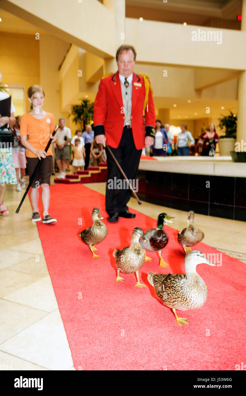 Arkansas Pulaski County,Little Rock,The Peabody Little Rock,hotel
