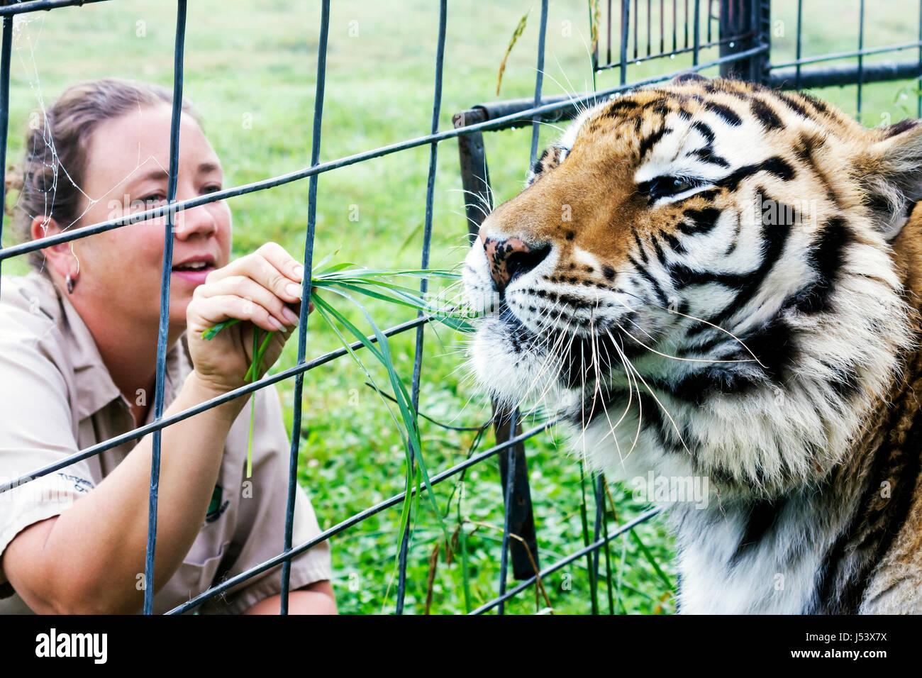 Arkansas, AR, South, Natural State, Ozark Mountains, Carroll County