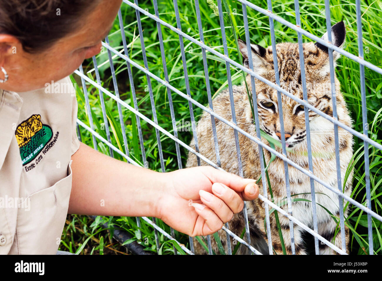 Eureka Springs Arkansas,Ozark Mountains,Turpentine Creek water Wildlife
