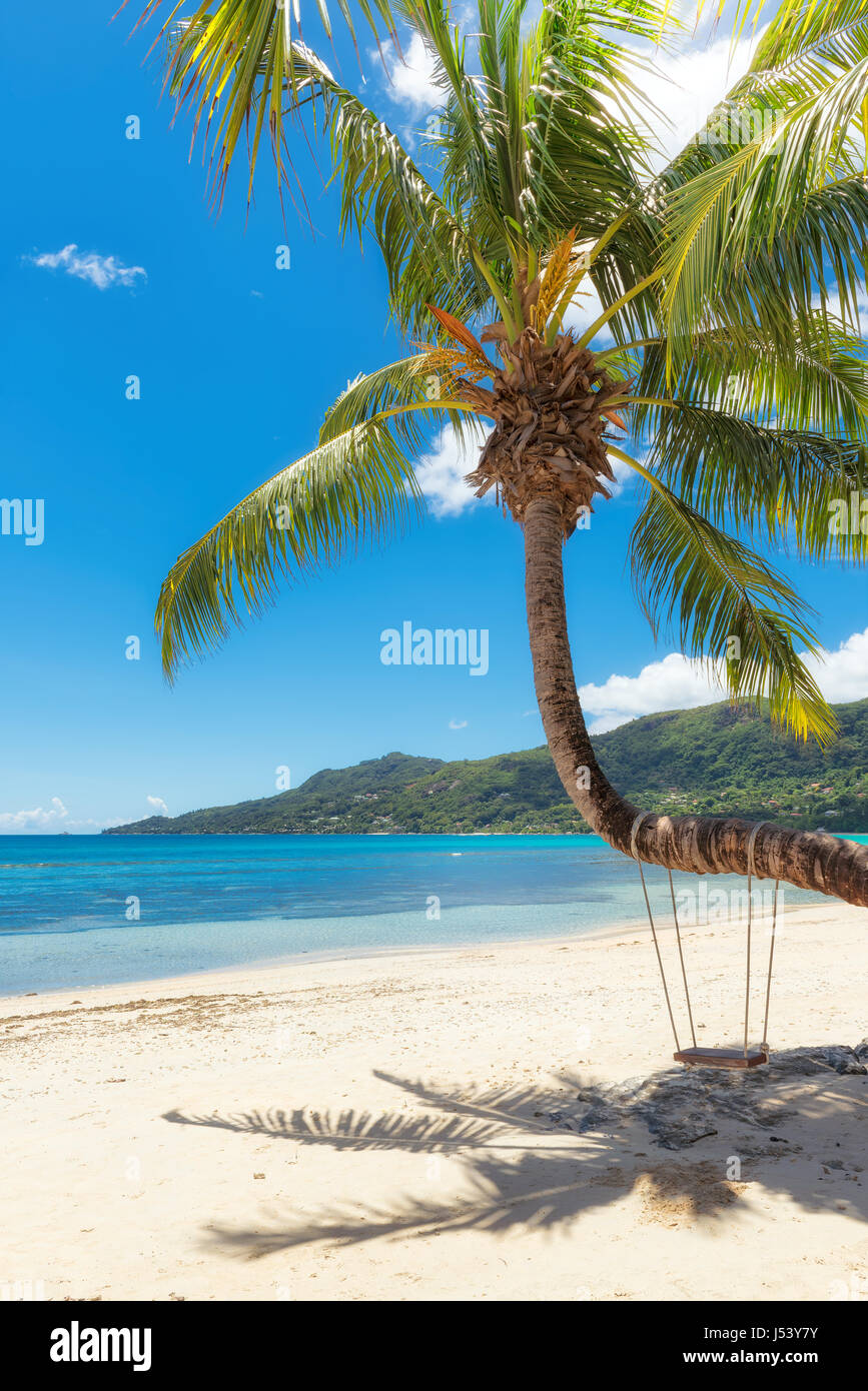 .Sandy beach with palm trees Stock Photo
