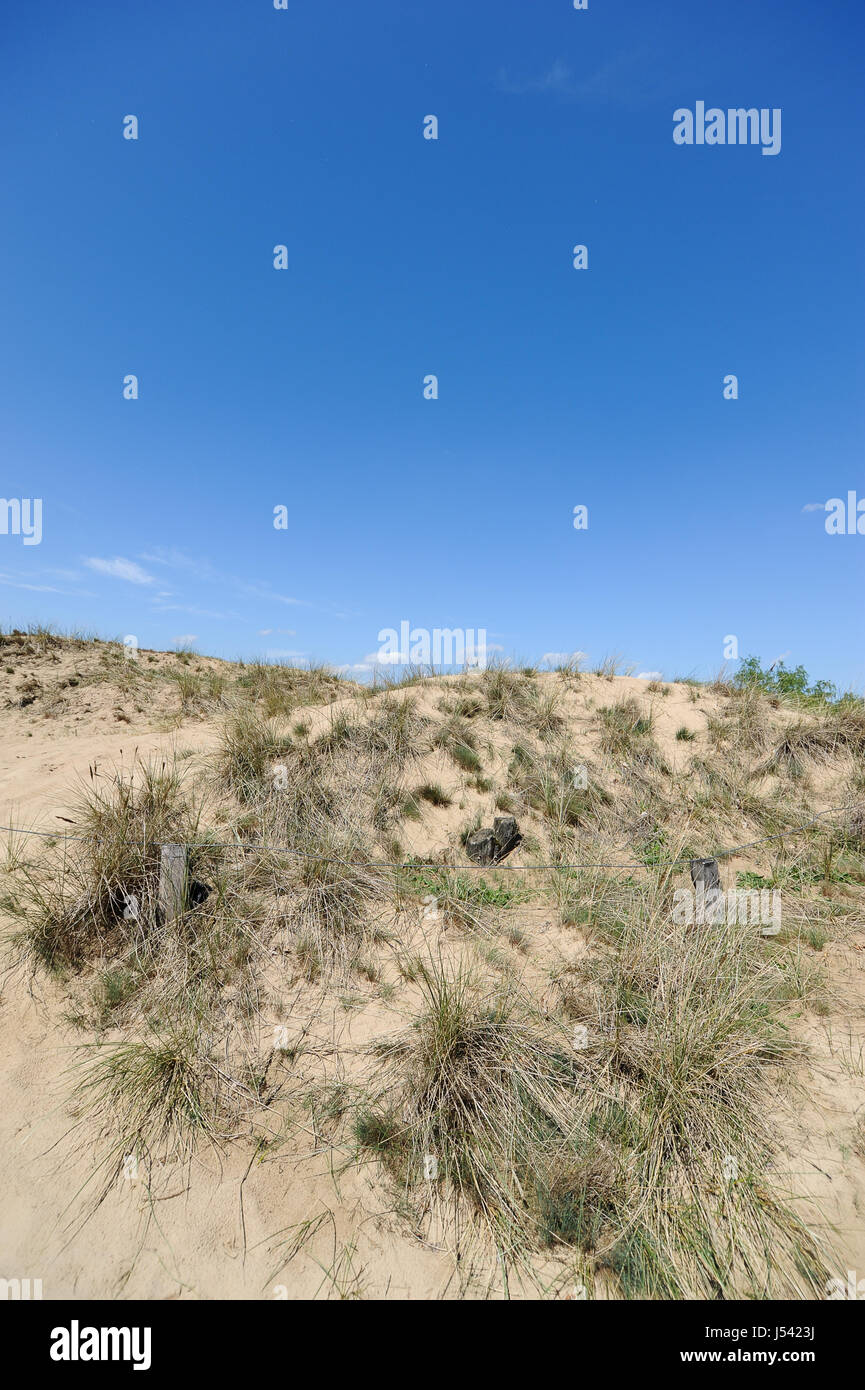 Landscape of the Boberger Dunes, or Boberger Duenen, in south west of Hamburg, Germany. Stock Photo