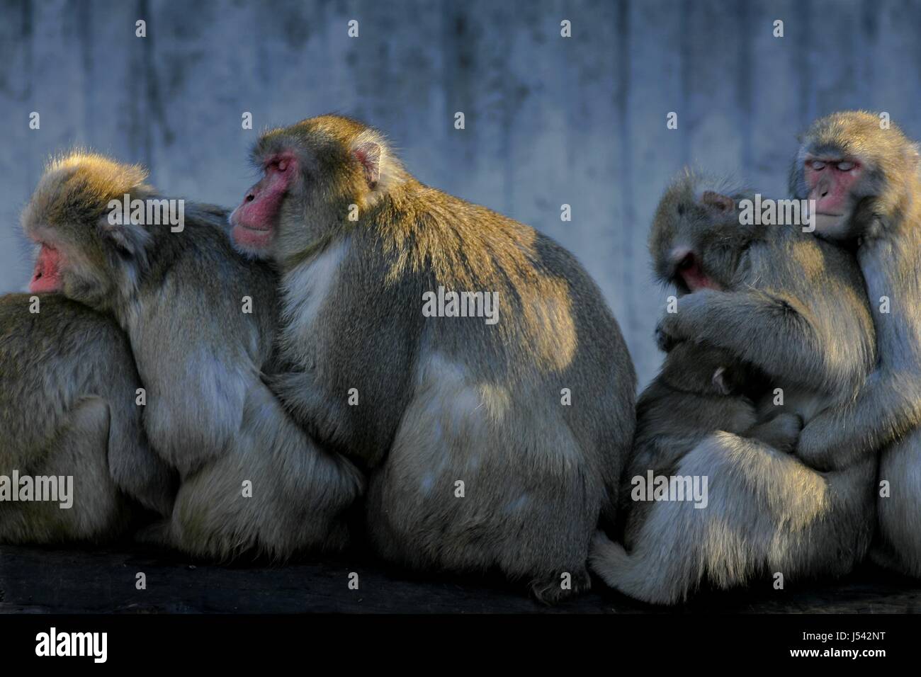 move-closer-together-stock-photo-alamy