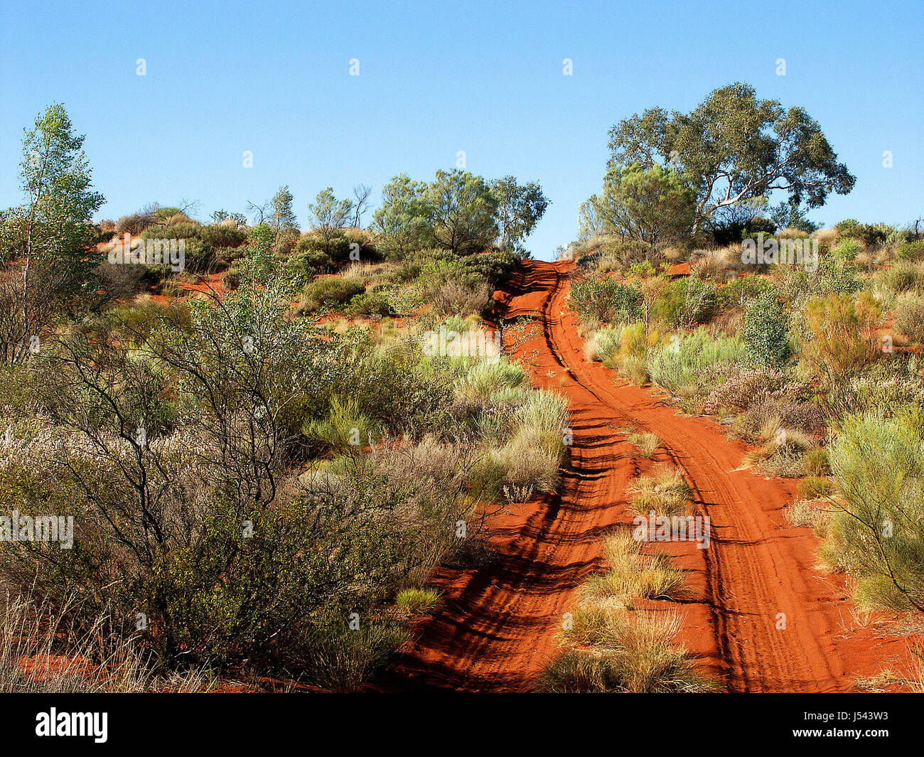 australia bushes outback dune dene sands sand canning stock route