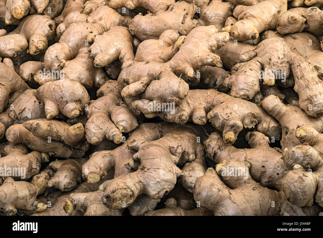 Fresh ginger roots display on sale in the fresh vegetable market Stock Photo