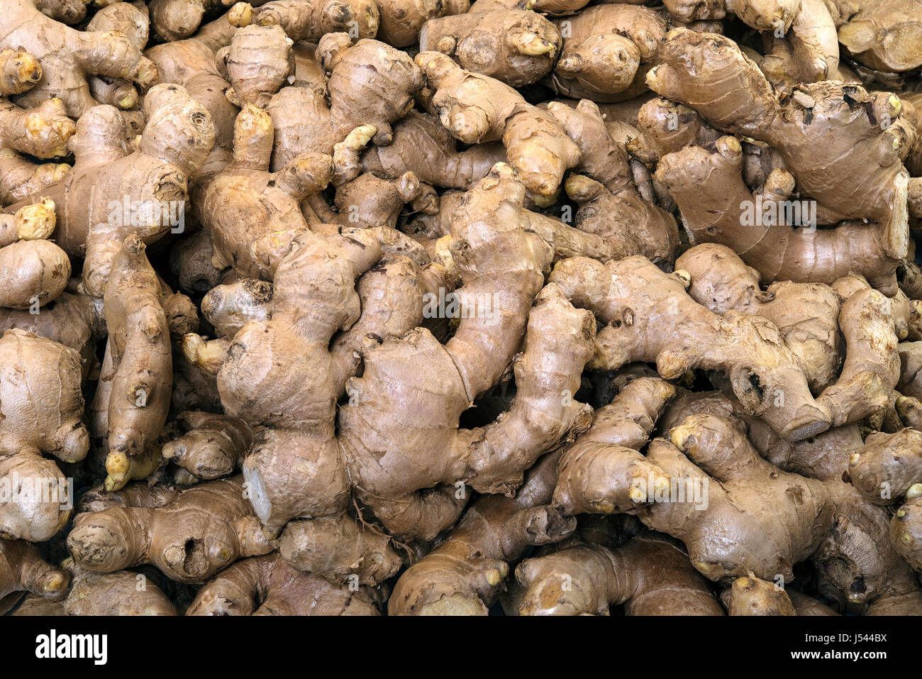 Organic ginger on display for sale in the fresh vegetable market Stock Photo