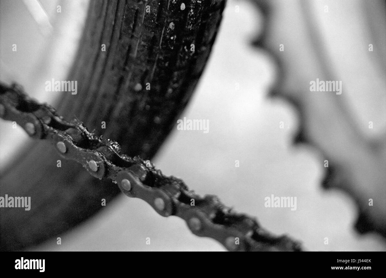 detail wheel biker chain wheels metal cogwheel greasy gear change