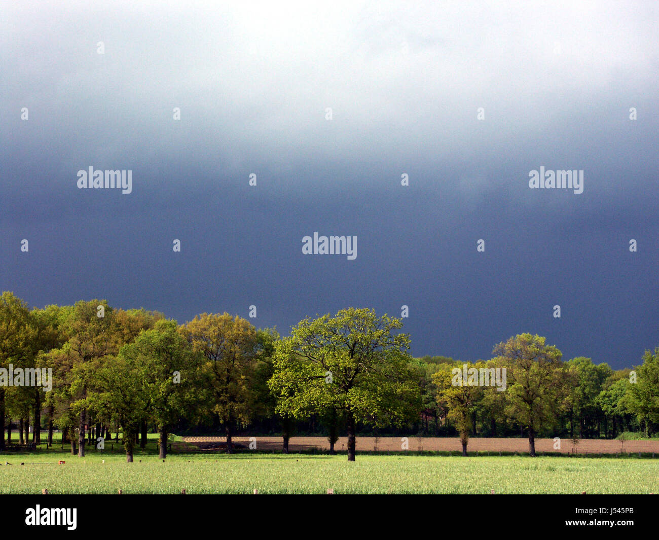 after the rain Stock Photo - Alamy