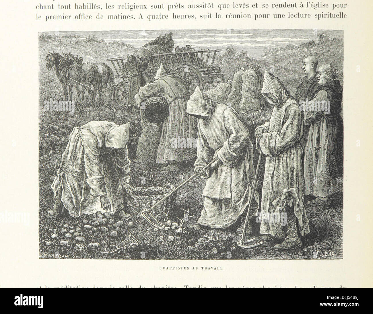 This work provides an in-depth exploration of Alsace, featuring 386 ...