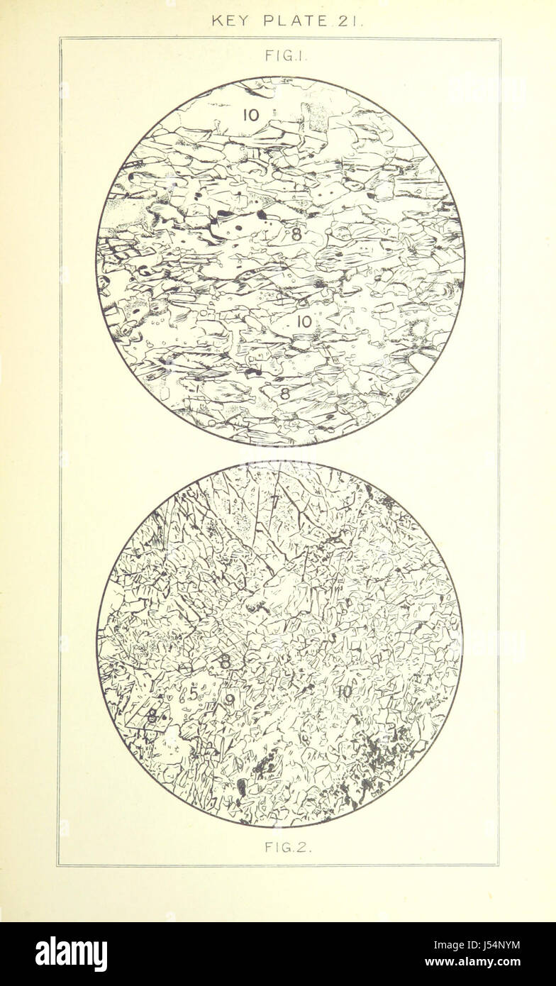 This work, 'British Petrography', focuses on the study of igneous rocks ...