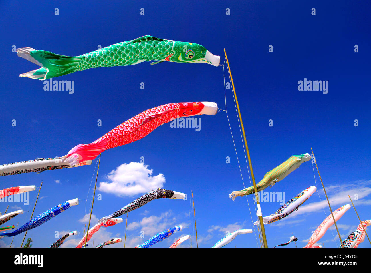 Koinobori Carp Streamers at Hachiojiyama Koen Park Ota city Gunma Japan