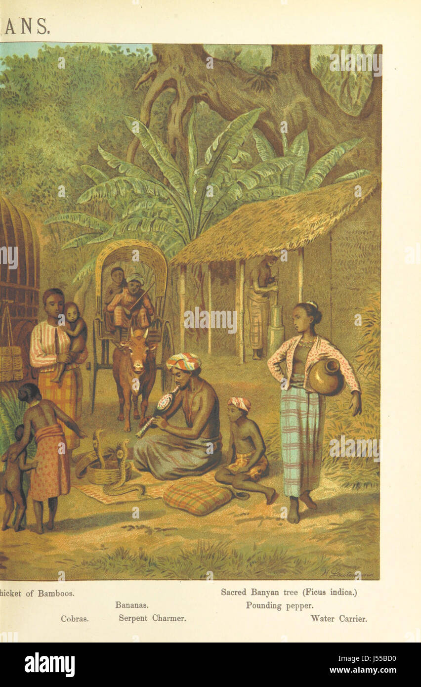 This image from 'Graphic Pictures of Native Life' depicts various ...