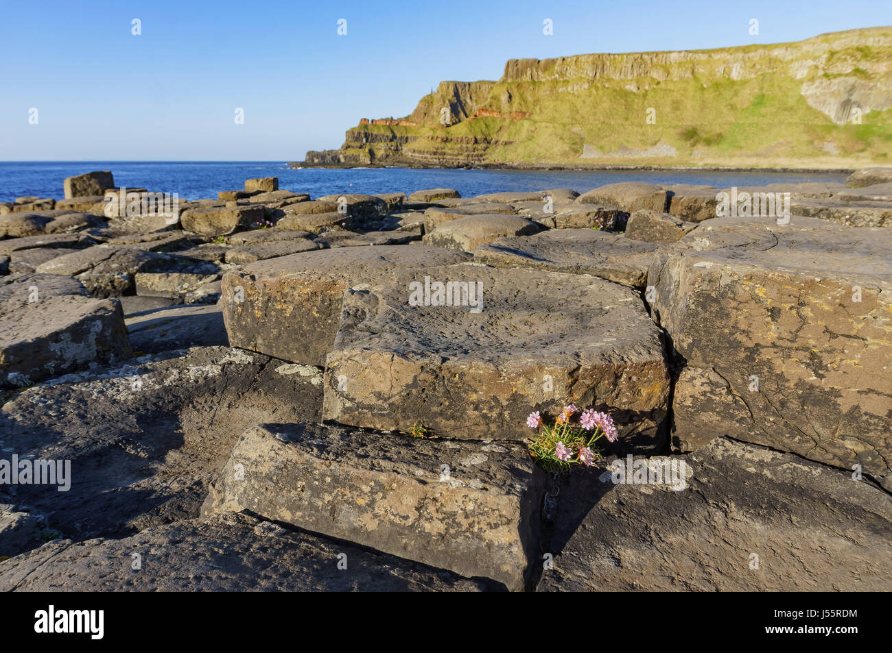 The famous ancient volcanic eruption - Giant's Causeway of County Antrim, Northern Ireland Stock Photo