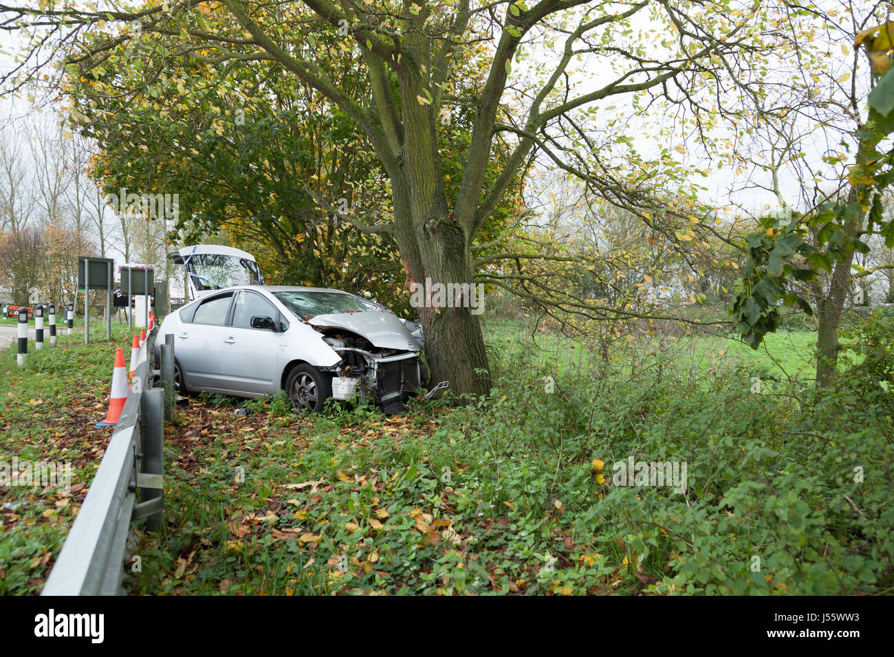 Silver Toyota Prius road traffic accident car crash into a tree Stock Photo