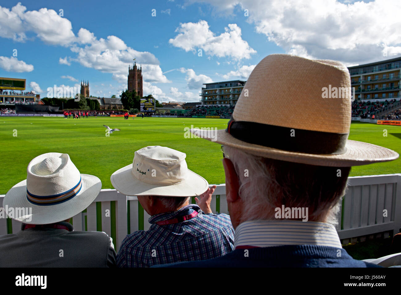 Cricket at Taunton, county ground of Somerset CC, England UK Stock