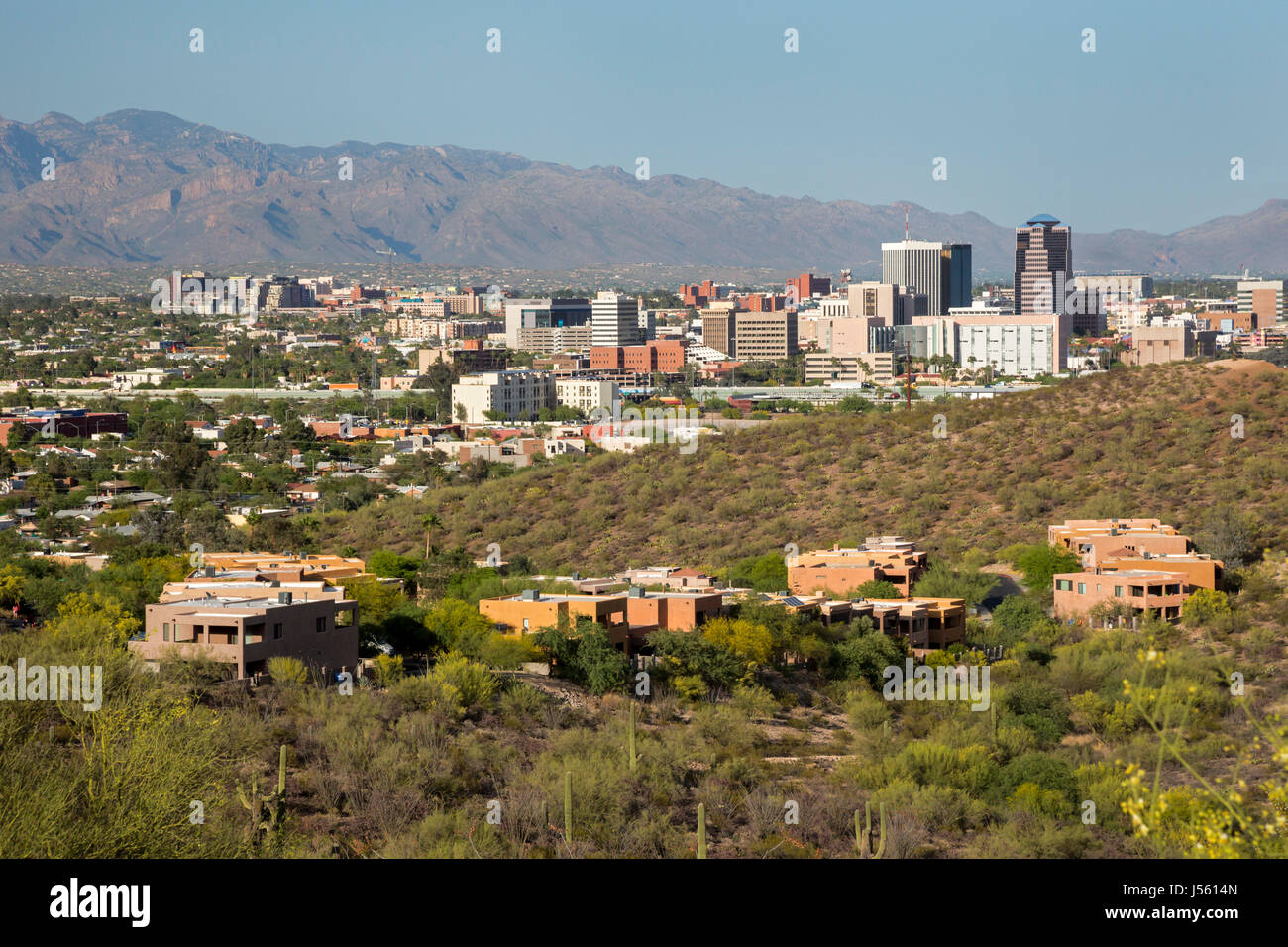 Tucson, Arizona, with the Santa Catalina Mountains in the background. Stock Photo