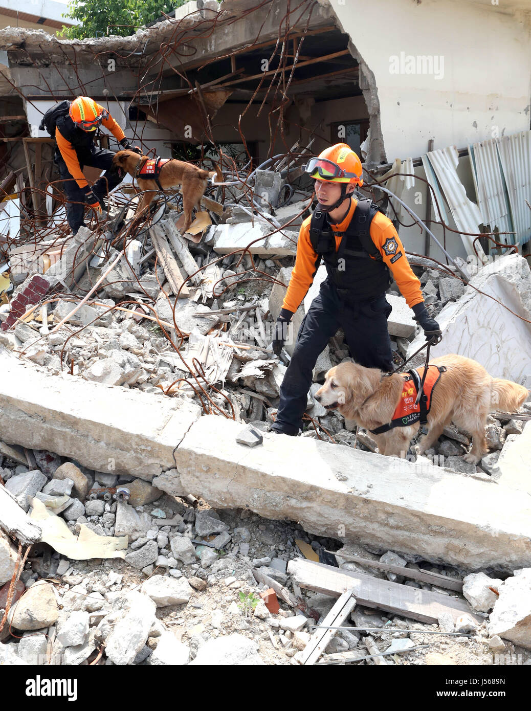 Rescuers conduct drill against disasters Rescuers using rescue dogs ...