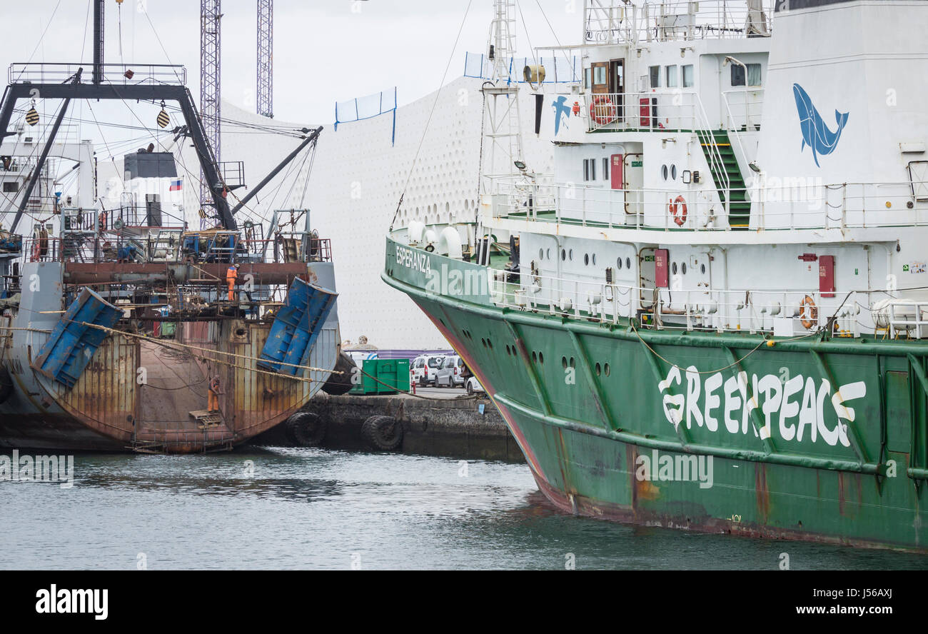 Las Palmas, Gran Canaria, Canary Islands, Spain. 17th May 2017. Greenpeace ship, Esperanza (hope) docks in Las Palmas for maintenance work. For the past two months the ship has been patrolling the West African coast investigating overfishing of the area by industrial fishing vessels. PICTURED: The ship is behind a rusting Russian trawler (workmen can be seen welding on the trawler) and alongside a new, multi million pound aquarium which is due to open later this year ( aquarium and cranes can be seen in background). Credit: ALAN DAWSON/Alamy Live News Stock Photo