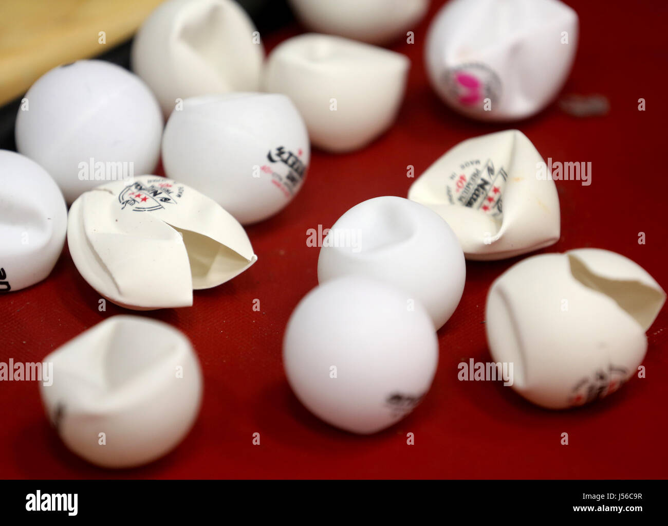 Duesseldorf, Germany. 17th May, 2017. New table tennis balls produced by  Nittaku damaged during training at a German Table Tennis Association media  day event in Duesseldorf, Germany, 17 May 2017. The Table