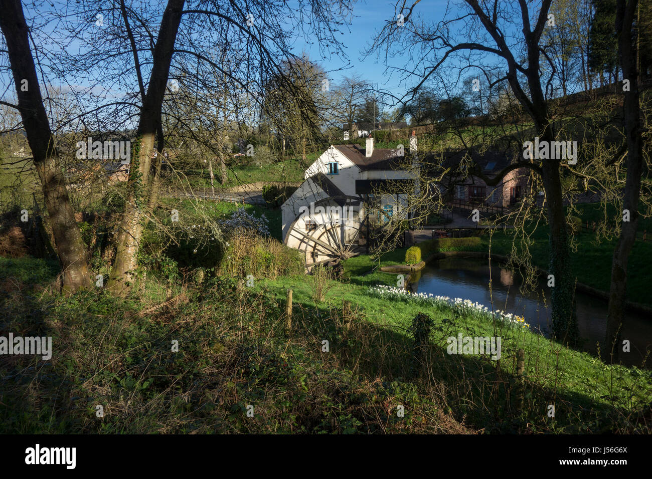 Daniels Mill is a working water mill used for milling flour, Bridgnorth Shropshire. The mill has the largest cast iron waterwheel in England UK Stock Photo