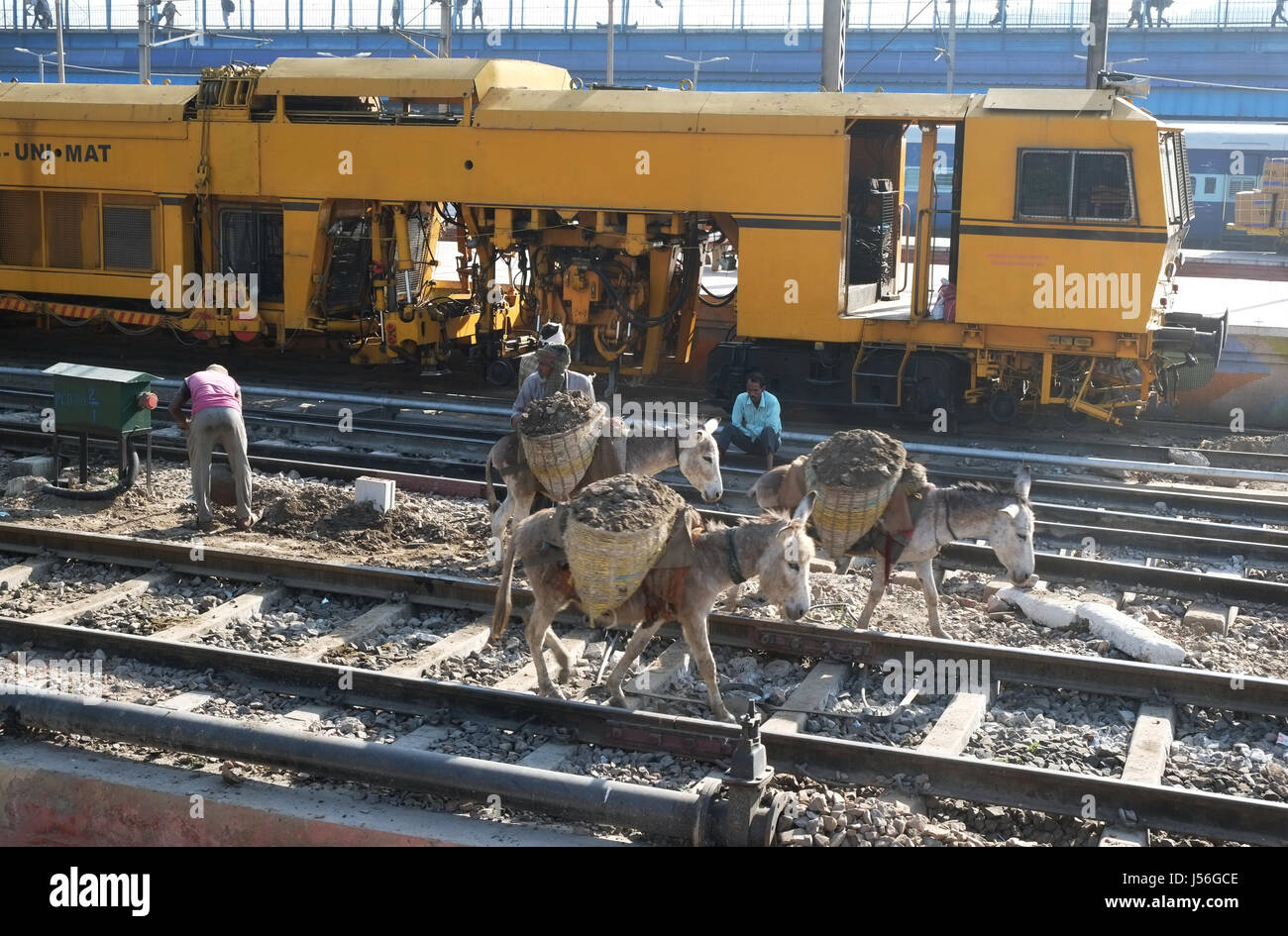 Track maintenance using donkeys at New Delhi Railway Station Stock Photo